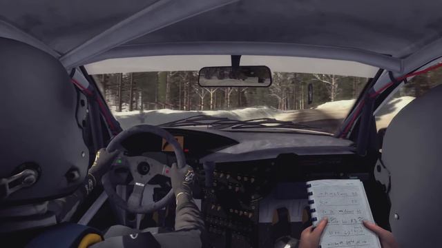 Dirt Rally crashes  (Realistic damage mod) #10 смотреть онлайн