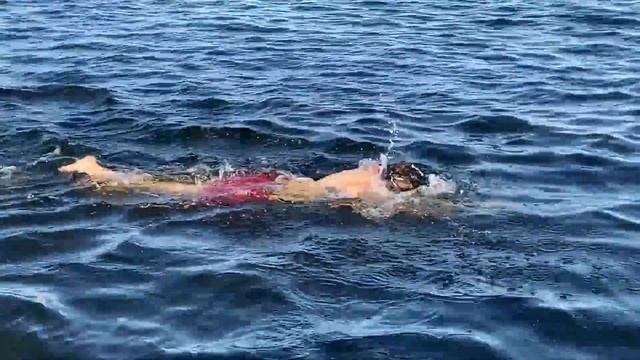 Я Переплыл ЦЕЛУЮ РЕКУ смотреть онлайн