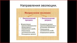 макроэволюция