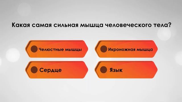 Проверь свои общие знания / тест смотреть онлайн