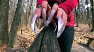 Walking in the forest ? LONG NAILS tapping