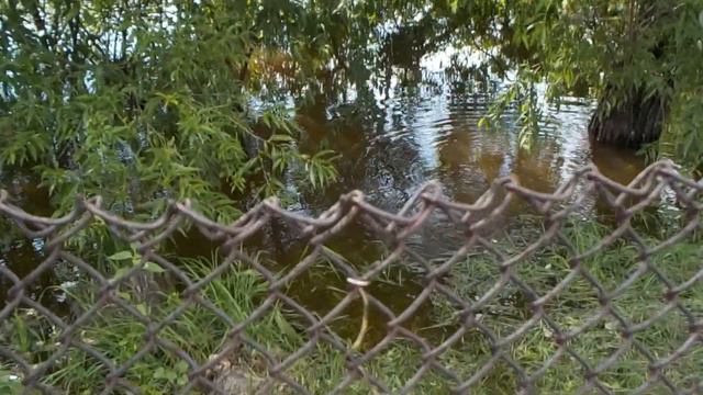 Ловим РЫБУ в ОГОРОДЕ . Обзор МОНОПОДА. Как нас ЗАТОПИЛО. .