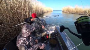 Балхаш, ловим трофейного сазана. Рыболовная база Успех. Рыбалка! Пожар на Балхаше.