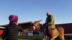 ПАПА И МАМА КАТАЮТСЯ НА ОСЛИКЕ УЕХАЛИ ДОМОЙ...