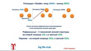 Полная презентация программы 'Твой подарок' Biglife club 21 03 2017