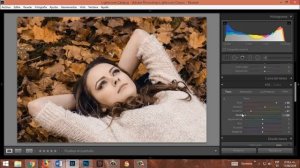 COMO APLICAR UNA PALETA DE COLOR EN LIGHTROOM CC 2018