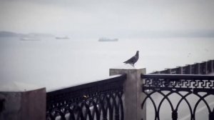 Фолк группа'Кумовья'Ах ночь голубая ночь' Russian folk song