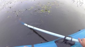 НАШИ ТРОФЕЙНЫЕ ЩУКИ. 25 КИЛОГРАММ общий вес. Рыбалка на щуку.