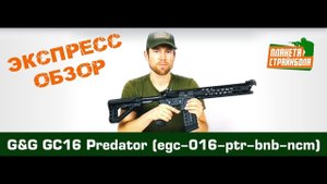 Обзор автомата G&G GC16 Predator (egc-016-ptr-bnb-ncm)