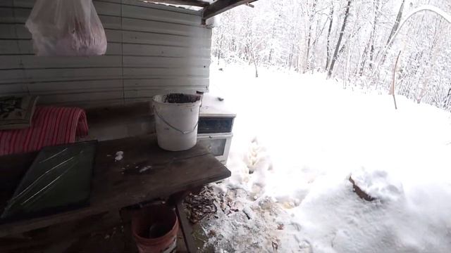 Зима в тайге. Таежный плен. Снежная сказка. Часть 2. смотреть онлайн