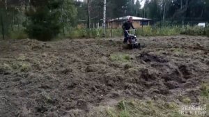 Расчистка от бурьяна, порядок на участке l Зелёный Вектор
