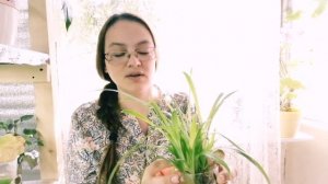 ?Топ 7 моих самых теневыносливых растений в доме.?Мои комнатные цветы.?Апрель 2021.?