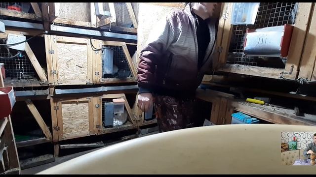 Обзор новой,самой удобной и простой клетки для кроликов! Рассадка крольчат от мамки,подготовка к ок