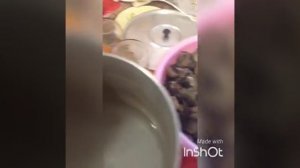 Как замариновать грибы подосиновики