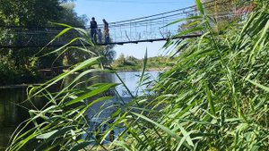 Поездка в Ясногорск. Природа