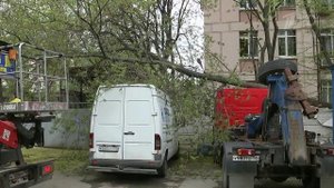 В Москве сильный ветер и дождь уже второй день подряд добавляют забот коммунальным службам
