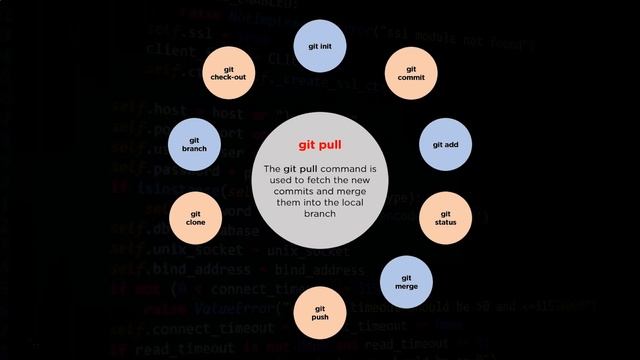 Top 10 Git Commands | Most Used Git Commands | Git Commands With Examples | Simplilearn
