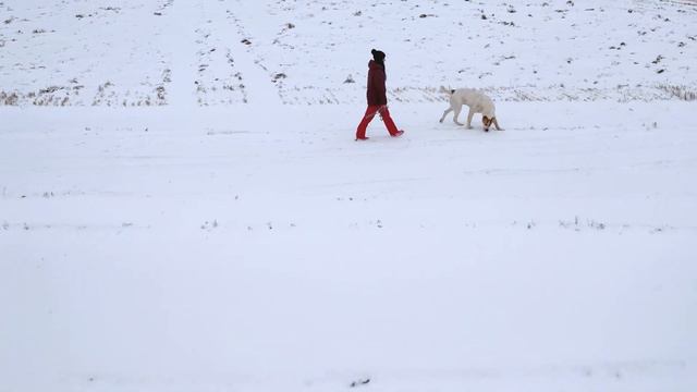 С ВЫСОТЫ ПТИЧЬЕГО ПОЛЕТА АЛАБАЙ УМА! смотреть онлайн