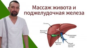 Массаж живота и поджелудочная железа