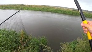 Ловля голавля на реке! Полудонка спасает!