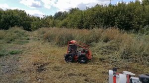 Косилки на радиоуправлении в работе.Radio-controlled robot