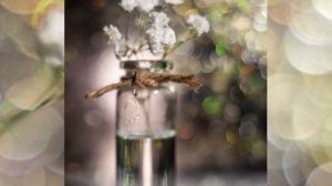 КРАСИВОЕ БОКЕ на фотографии. Как добиться красивого боке.