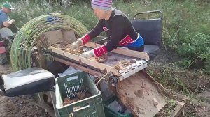 Картофелекопалка. Мечта огородника