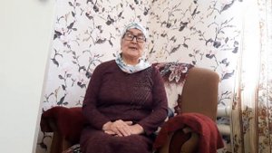 Оказание помощи  маломобильным пассажирам и пенсионерам  в аэропортах и на ж/д вокзалах