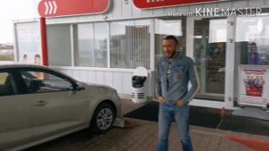 просто Реальные кабаны ?