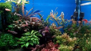 Нитрат Фосфатович, Редфилд Калиев - что это за мужики?