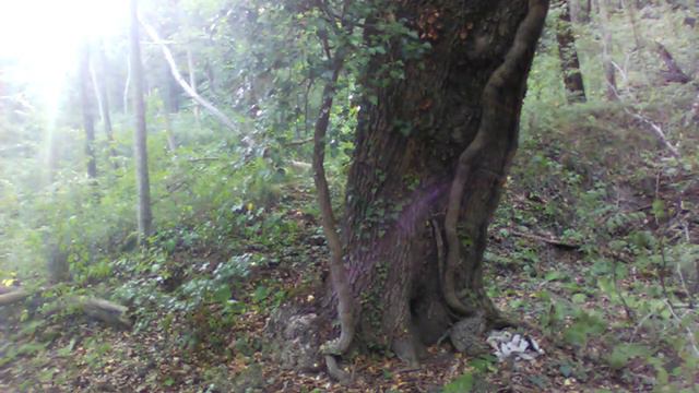 Евангелие от Марка 9-16 главы. смотреть онлайн