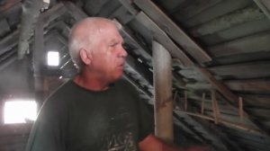 Высоколетные голуби Прикамья город Чистополь Татарстан