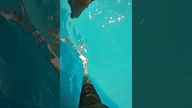 собираем мусор с поверхности воды бассейна вместо сачка смотреть онлайн