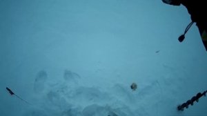 Рыбалка на бокоплав, а на подвеске пыздрик-малек!