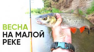 Весенний спиннинг на малой реке