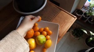 Мои кумкваты. Абхазский кумкват на трифолиате, Мейва или Маруми, Тондо.