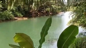 Бохоль, Филиппины