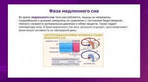 Биология. 7 класс. Значение сна для организма человека. Биологические ритмы