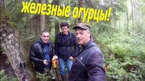 Нашли железные огурцы в глухом лесу!