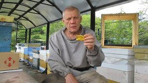 Подсадка матки Не 100% но 99% гарантия