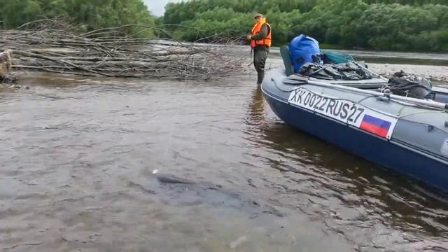 Путь воды. Хабаровский край, горные реки, Таймень. @ZEMEXRussia @ArtemMishin1 @TheAntonValter смотреть онлайн
