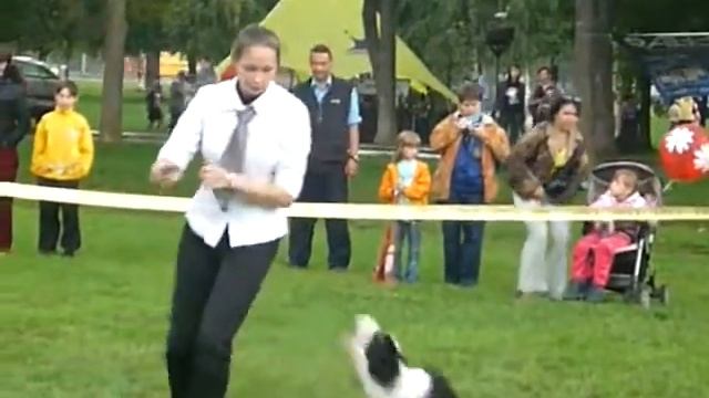 фристайл на "Виват, Собака".flv смотреть онлайн