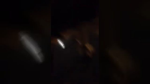 Себастьян на беговой дорожке!) смотреть онлайн