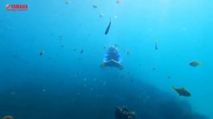 Подводный буксировщик Yamaha SeaWing Seascooter