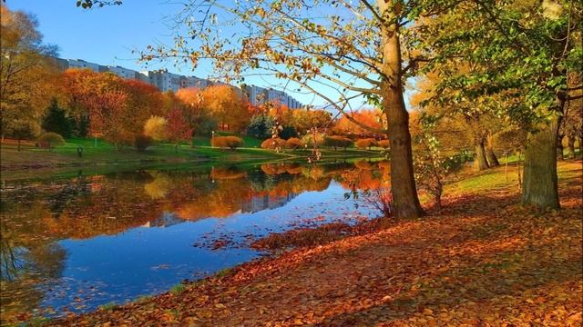 П.И. Чайковский. Времена года. Осень