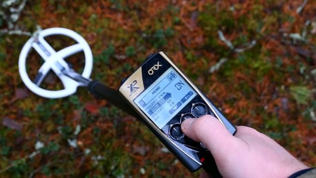 Металлоискатель XP ORX - обзор и тест глубины