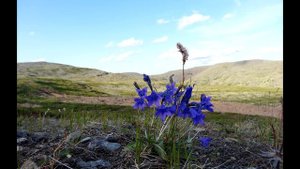 поездка на агульское озеро и пос. нерха