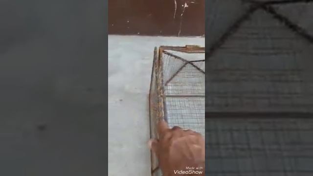 Рыбалка.ловушка своими руками.