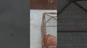 Рыбалка.ловушка своими руками.