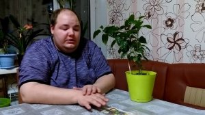 Маракуйя или пассифлора  гранадилла сладкая посев семян и уход в домашних условиях